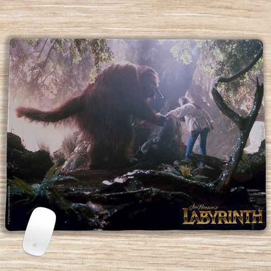 The Ludo Labyrinth Gamer Pad